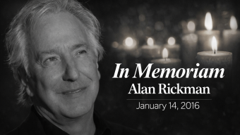 Completed: Public Tributes Mark Ninth Anniversary of Alan Rickman’s Death, Prompting Global Search Surge
